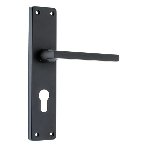 Door handle on plate cylinder royal euro Fort Knox matt black