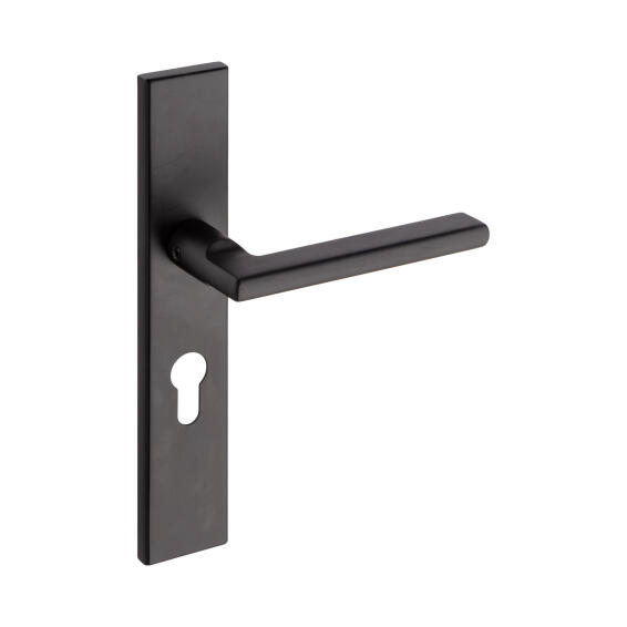 Door handle on plate stainless steel black finish Handles inc. 85mm cylinder cutout