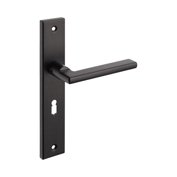 Door handle on plate stainless steel black finish Handles inc. 57 mm keyhole cutout