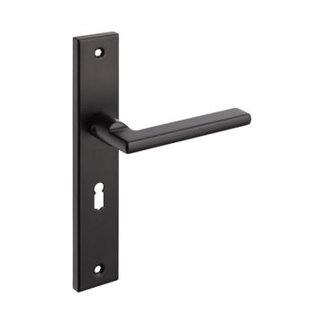 Door handle on plate stainless steel black finish Handles inc. 57 mm keyhole cutout