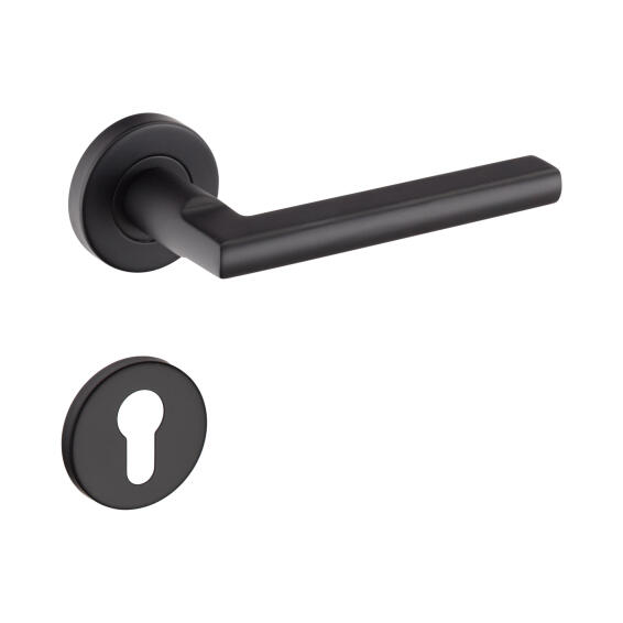Door handle on rose stainless steel matt black finish Handles inc. cylinder escutcheons
