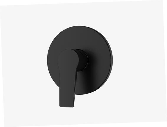 Franke Aspera Concealed Shower Mixer Matt Black 