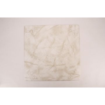 Ceiling Tile 2041 Beige 50X50cm 2sqm