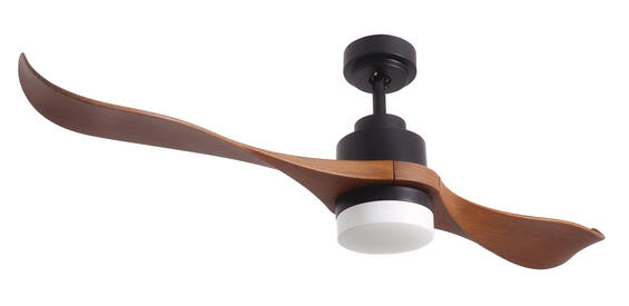 BRIGHTSTAR Ceiling Fan with Light Matt Black 2 ABS Blades 15w