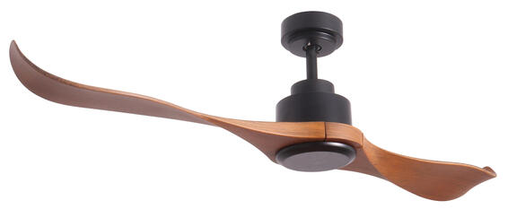 BRIGHTSTAR Ceiling Fan with Light Matt Black 2 ABS Blades