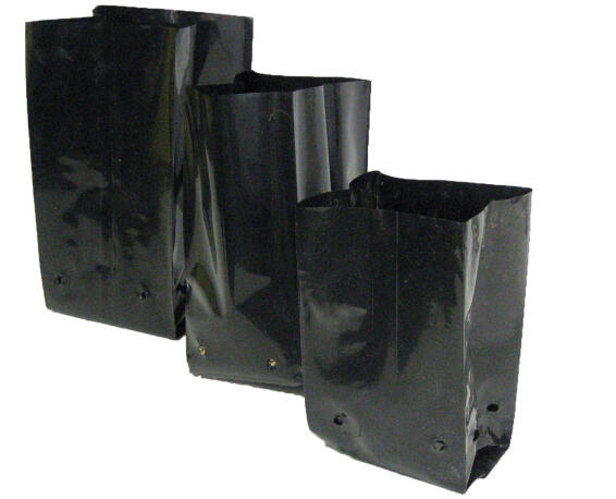 Planting Bag, 2.5liter, KIRCHOFFS, 25 per pack