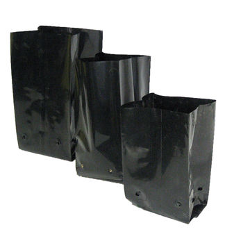 Planting Bag, 2.5liter, KIRCHOFFS, 25 per pack