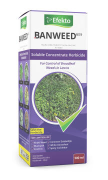 Banweed, Lawn Weed Control, EFEKTO, 500ml
