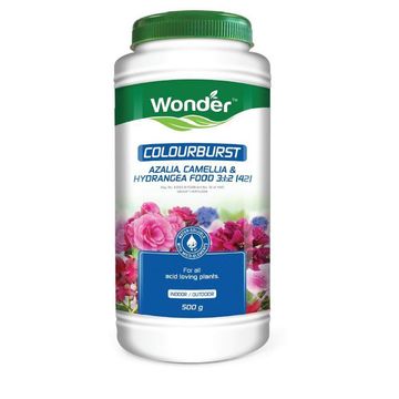 Colourburst Azalea EFEKTO 500g