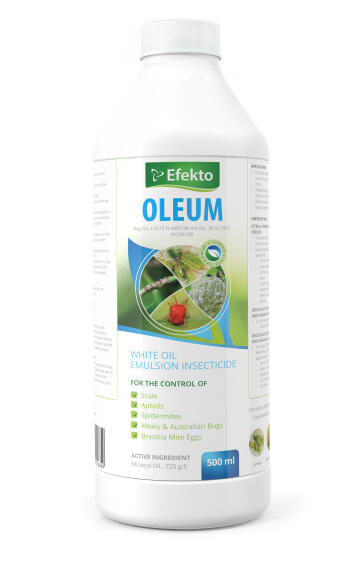 Oleum Insecticide EFEKTO 500ml