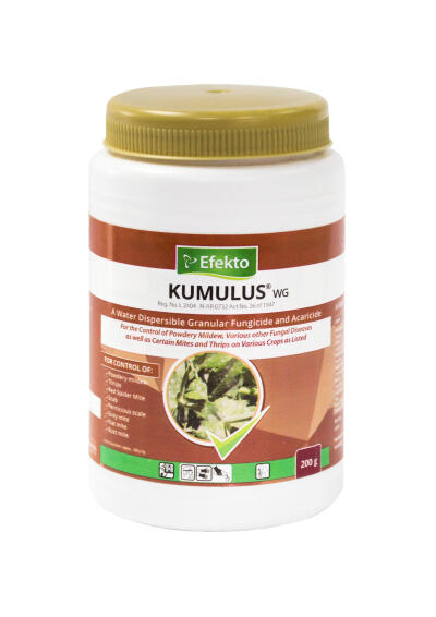 Kumulus WG Fungicide EFEKTO 200g