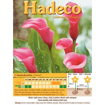 Zantedeschia Chianti - Red - 303