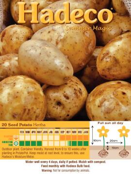 Seed Potatoes Herta - 8882