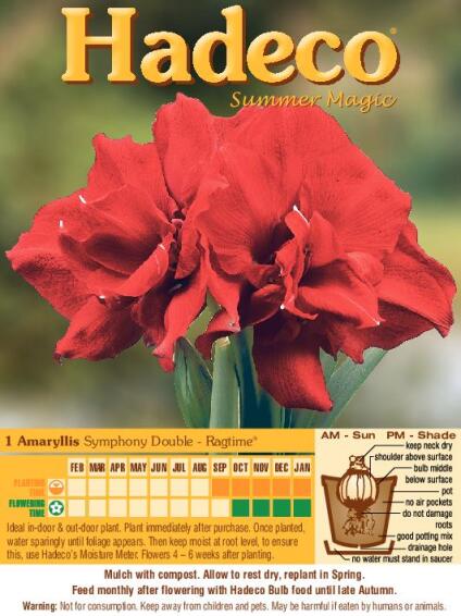 Symphony Double Ragtime - 440