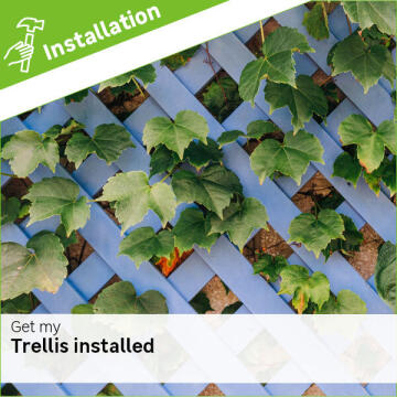 Trellis installation fee