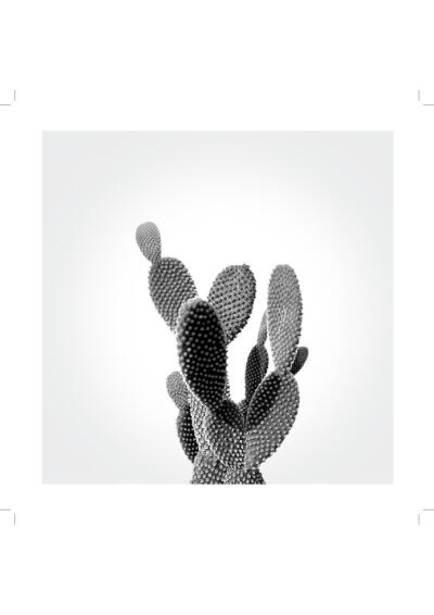 PRINT CACTUS 1 20X20CM