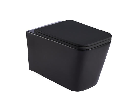 Toilet Wall Hung Rimless Pan Sintra Including Toilet Seat Black 