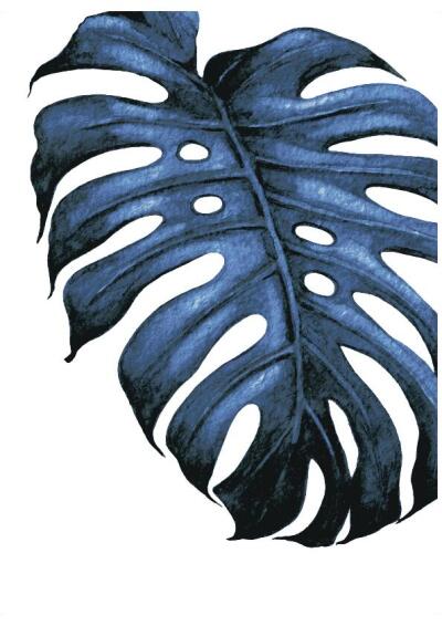 PRINT BLUE LEAF 11 50X70CM