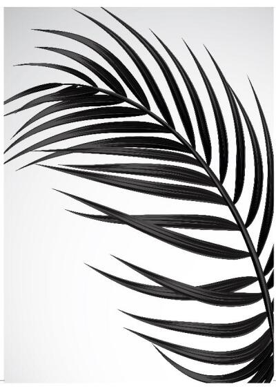 PRINT BWLEAF 1 50X70CM