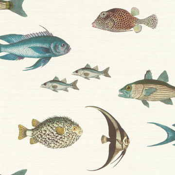 Fishes wallpaper 200cmx280cm