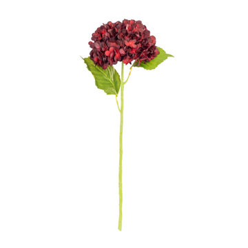 Hydrangea Stem WLVS 21 Cream