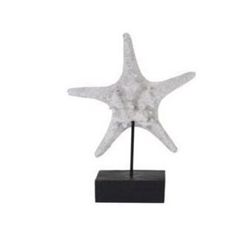 OCEAN THEME COUNTER TOP SEA STAR