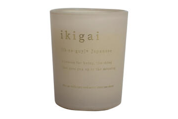 5,5CM COLOURED WAXFILL SCENTED CANDLE