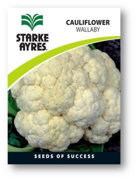Cauliflower Seed