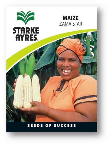 Maize Seed