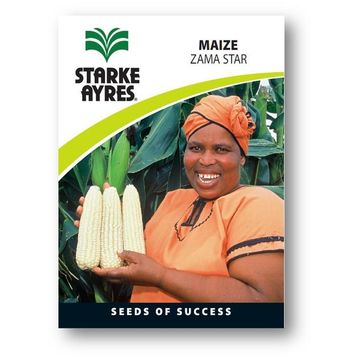 Maize Seed