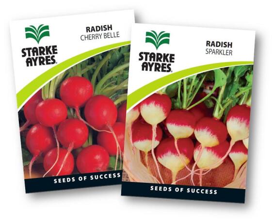 Radish Seed
