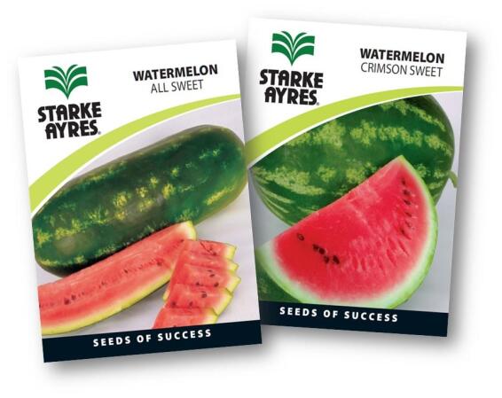 Watermelon Seed
