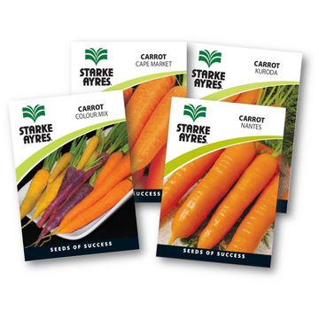 Carrot Seed