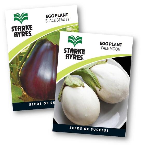 Egg Plant Seed