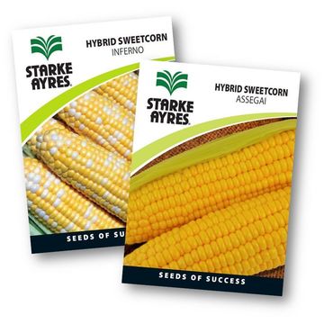 Sweetcorn Seed