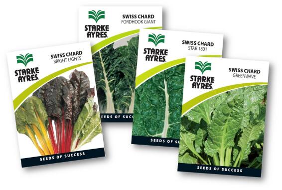 Swiss Chard Seed