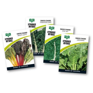 Swiss Chard Seed
