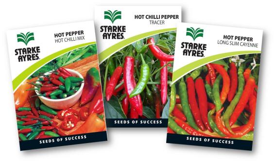 Chilli Seed