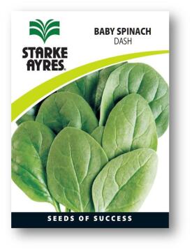 Spinach Seed