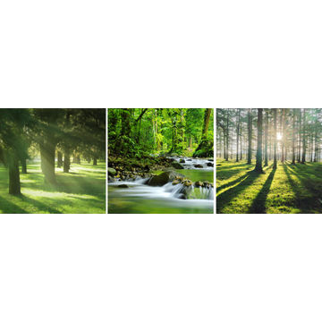 Canvas Forest 30x30cm x3