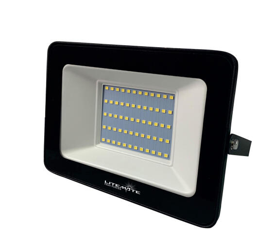  Flood light GENTECH 100W LED