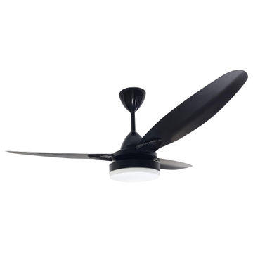 SENORITA 3 1200 BLACK LED REML5
