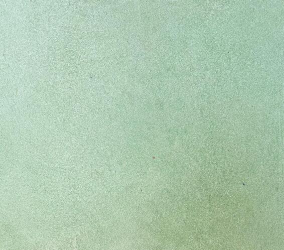 Elite Feature Wall Paint Laser Style Mint Green 1l