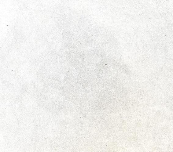 Elite Feature Wall Paint Laser Style Ice 1l