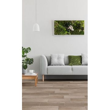 F/TILE CERAMIC FOREST NATURAL ECO 22X66