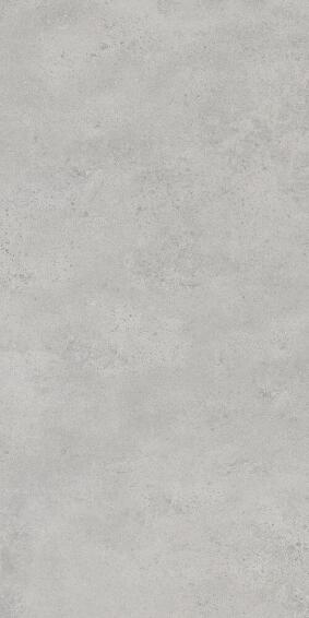 Floor Tile Ceramic Create Grey Eco L120cm x W60cm (2.16m2/box)