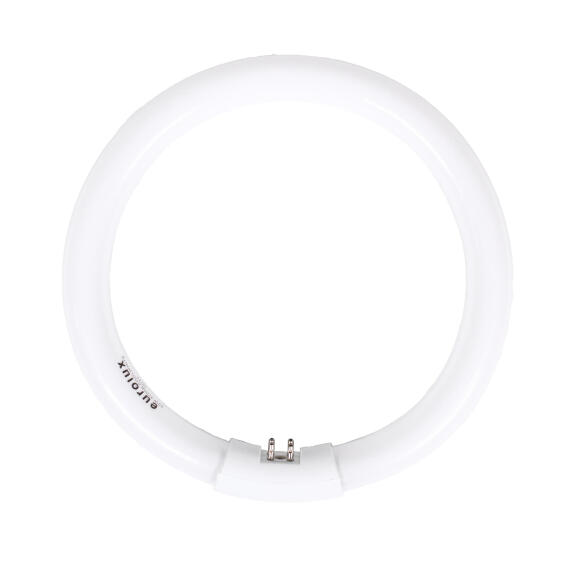   fluorescent circuline tube T6 22w cool white  Eurolux