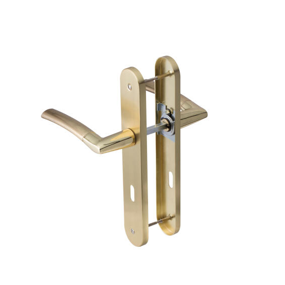 Door handle on plate with key hole zamak steel gold inspire 195mm