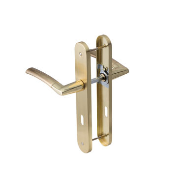Door handle on plate with key hole zamak steel gold inspire 195mm