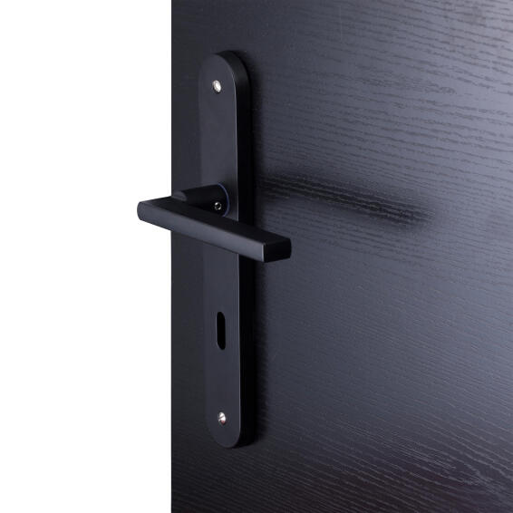Door handle on plate with key hole aluminium zamak black INSPIRE 195mm